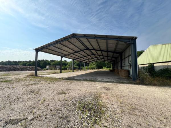 Mont-de-Marsan, local professionnel, grande surface, accessibilité