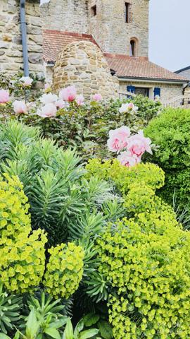 Rare Domaine sur 8 000m2 de terrain en pierres à quelques minutes de Wimereux et de Wissant Audresselles (62164)