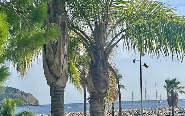 Appartement à vendre    2 pièces • 48 m2 Saint-Cyr-sur-Mer