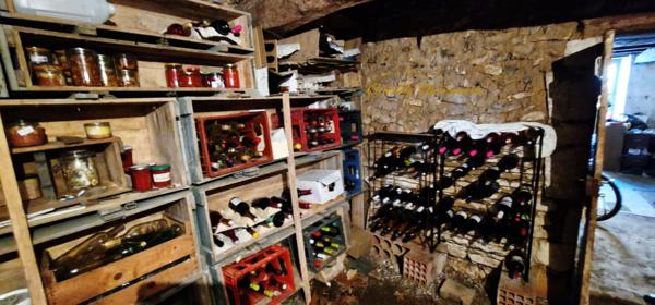 24350 lisle  : Ensemble immobilier deux maisons et dépendances