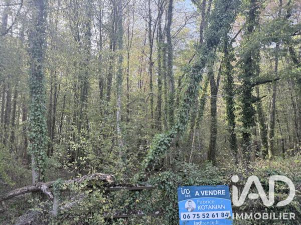 Terrain à vendre 2 362 m² Sommecaise