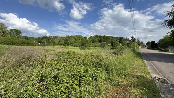 L'Isle-sur-Serein (89440) Terrain à bâtir de 8206 m²