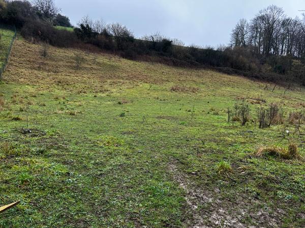 Terrain Thiembronne 1108 m2