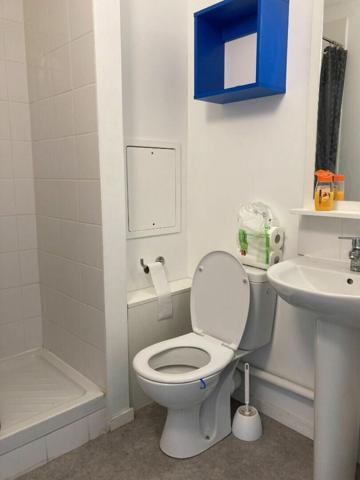 Appartement à louer    1 pièce • 19,35 m2 Caluire-et-Cuire