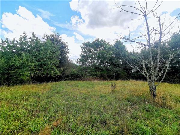 Terrain à vendre |  Donzenac |  951 m²