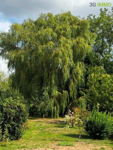 Vente / Maison à Louvroil (59720)