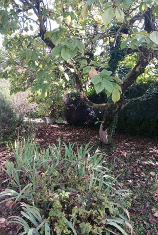 Maison Lons Le Saunier 6 pièce(s)