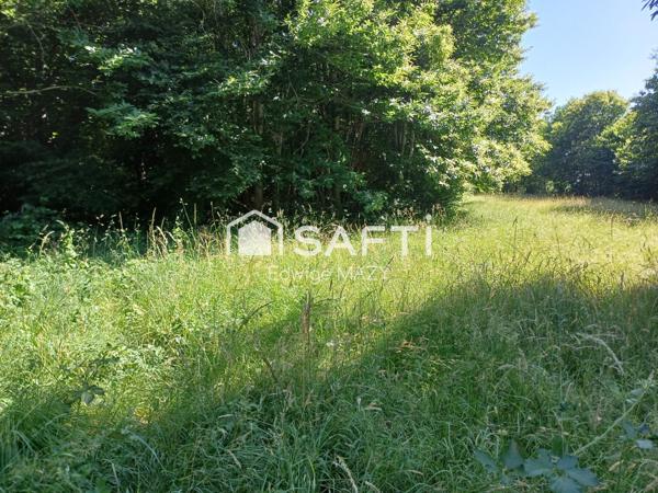 Amoureux de  la  nature