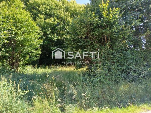 Amoureux de  la  nature