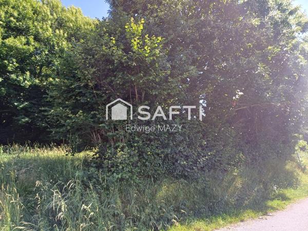 Amoureux de  la  nature