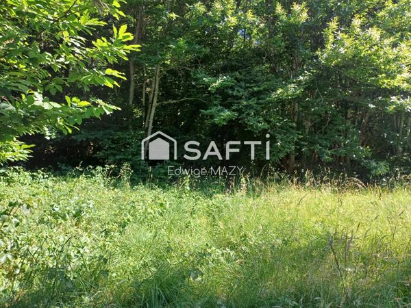 Amoureux de  la  nature