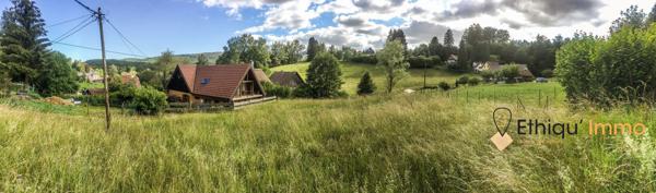 À vendre – Superbe terrain constructible et viabilisé au Hohwald, en pleine nature