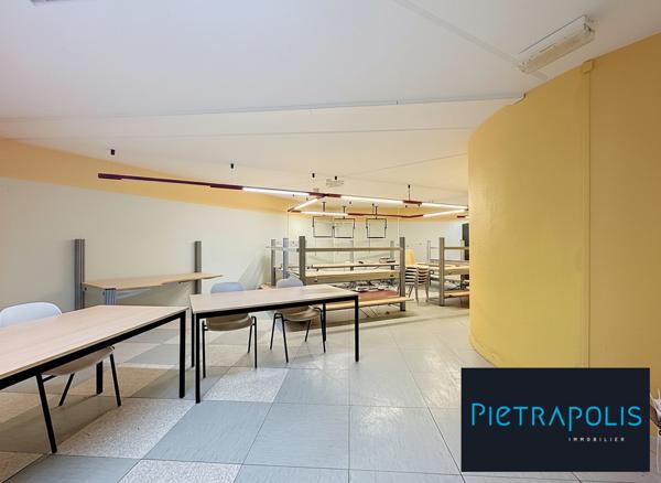LOCAL PROFESSIONNEL