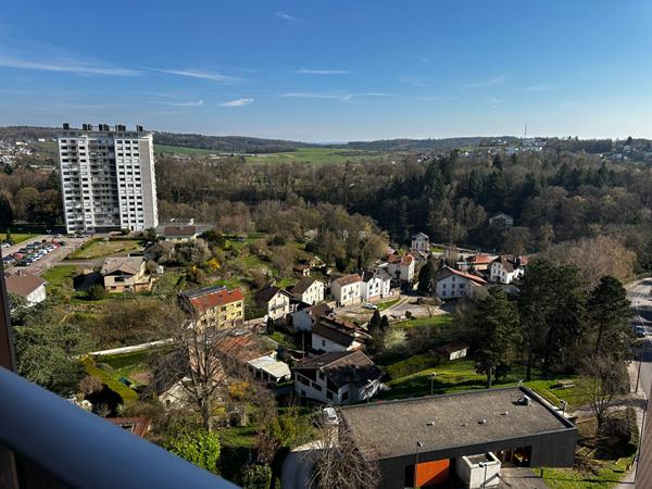 EPINAL - APPARTEMENT 110 m2 - 2 PARKINGS - 1 CAVE