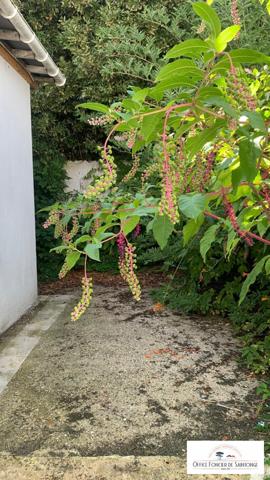 Foncillon immeuble de rapport