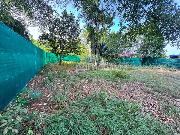 Vente
                Terrain1018 m² - SAINT FRANCOIS (97118)