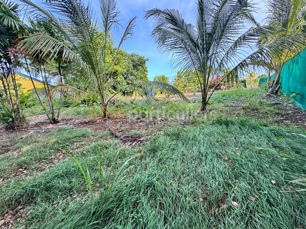 Vente
                Terrain1018 m² - SAINT FRANCOIS (97118)