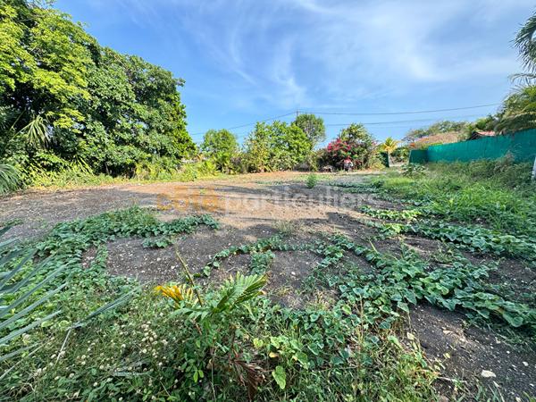 Vente
                Terrain1018 m² - SAINT FRANCOIS (97118)