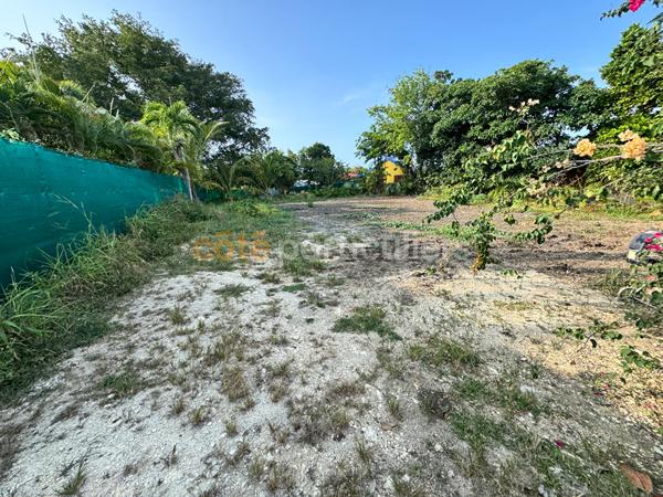Vente
                Terrain1018 m² - SAINT FRANCOIS (97118)