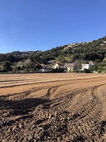 1.bail commercial+ 1 maisons – ENTREPOT SUR 2 niveaux Production d’agrumes – Fort rendement