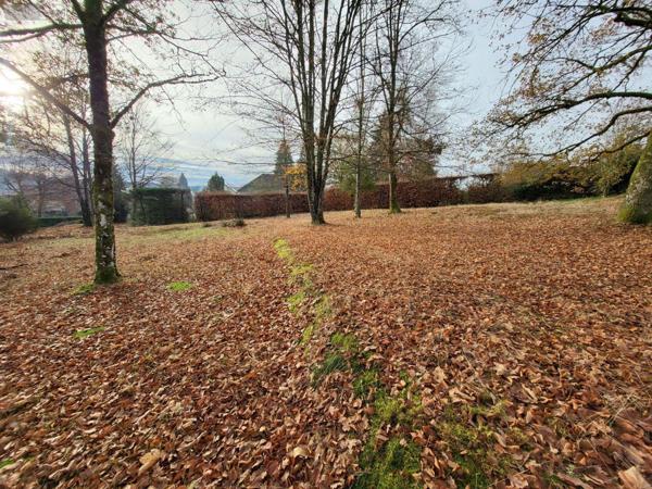 Terrain à Batir à vendre à Meymac en Corrèze (19250), ref : UT 144