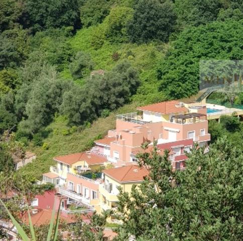 MENTON BORRIGO – T2