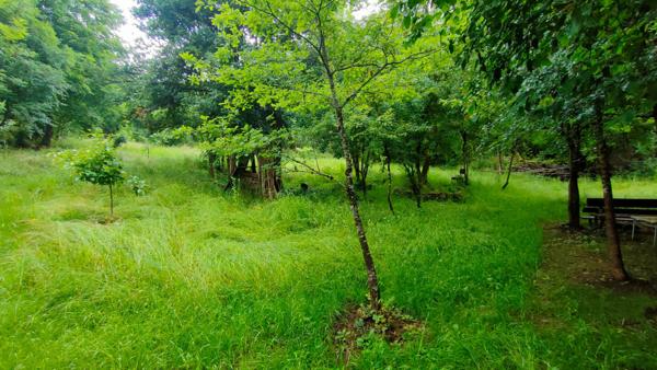 Grangeon La Burbanche 3 pièce(s) 64 m2 avec 5000m² de terrain naturel