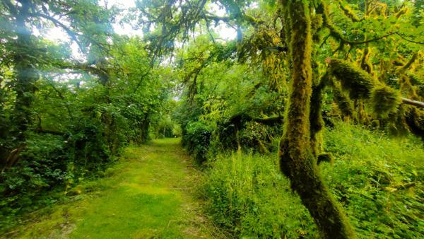 Grangeon La Burbanche 3 pièce(s) 64 m2 avec 5000m² de terrain naturel