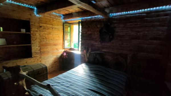 Grangeon La Burbanche 3 pièce(s) 64 m2 avec 5000m² de terrain naturel