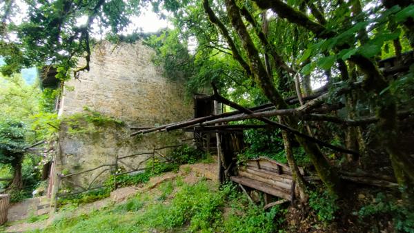 Grangeon La Burbanche 3 pièce(s) 64 m2 avec 5000m² de terrain naturel