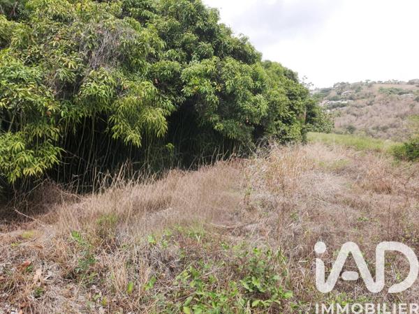 Terrain à vendre 819 m² Le Carbet