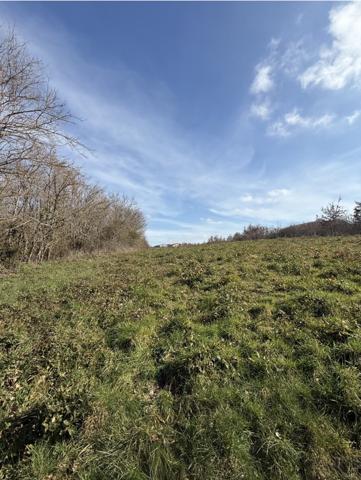 Terrain - 900 m² Exclusivité efficity