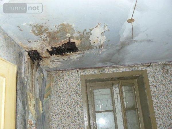 Immeuble à vendre à La Vôge les Bains dans les Vosges (88240), ref : 2233