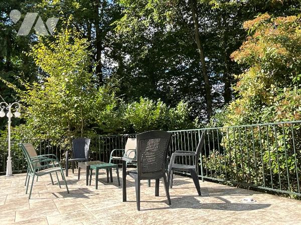 CHATEAU-RENAULT (37110)   - Elégante maison avec parc arboré