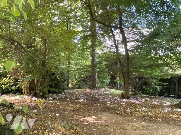 CHATEAU-RENAULT (37110)   - Elégante maison avec parc arboré