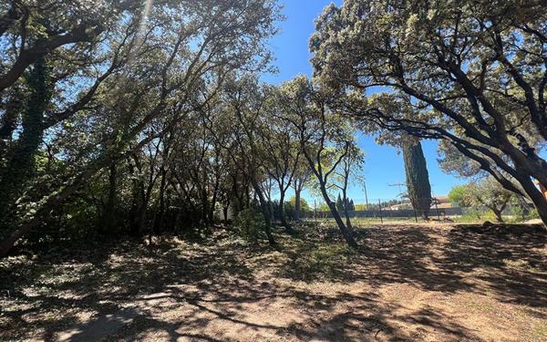 Terrain à vendre    Castries