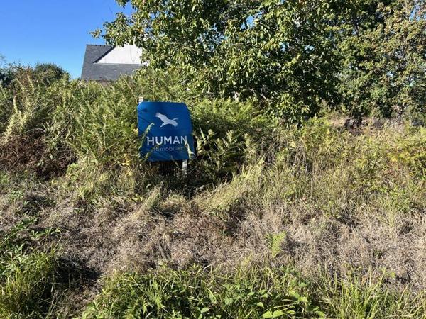 Terrain à vendre 77 420 € Moëlan-sur-Mer 593 m² DPE