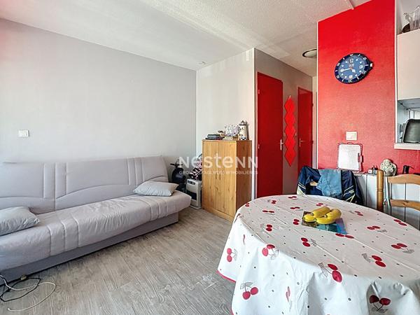 Appartement Argeles Sur Mer 2 pièce(s) 22 m2