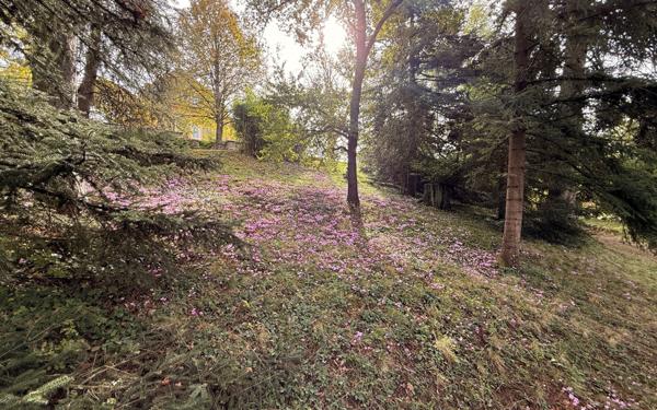 Maison à louer    5 pièces •  Saint-Genis-Laval