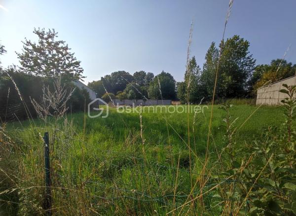 Vous recherchez un terrain pour construire votre future maison dans un environnement paisible ? 

Découvrez ce terrain viabilisé de 740m² , situé dans un secteur calme et agréable à Janvilliers à 10 min de Montmirail.Il bénéficie d'un cadre privilégié, idéal pour un projet de construction familiale.

✨Surface de 715m²
✨Terrain viabilisé 
✨Endroit calme et recherché
✨partiellement clôturé 

Une belle opportunité pour concrétiser votre projet immobilier dans un cadre serein