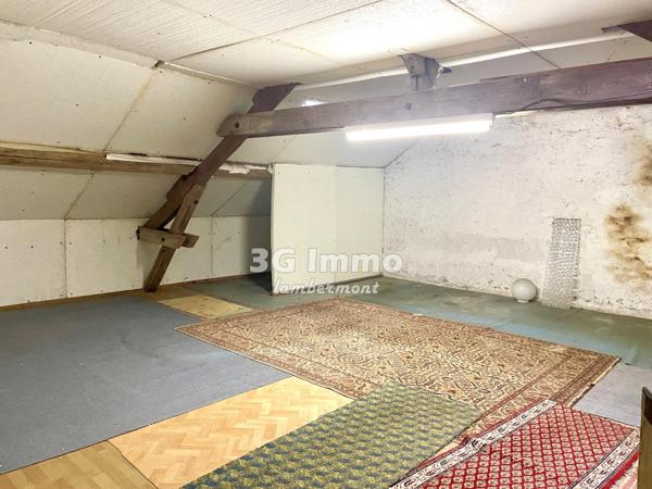 Vente / Maison et grand terrain