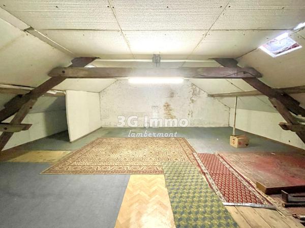 Vente / Maison et grand terrain