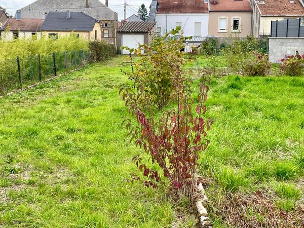 Vente / Maison et grand terrain