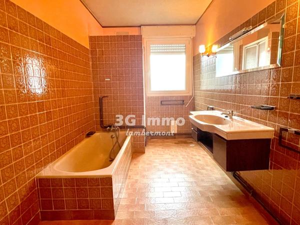 Vente / Maison et grand terrain