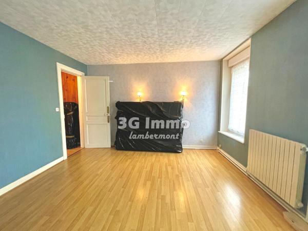 Vente / Maison et grand terrain