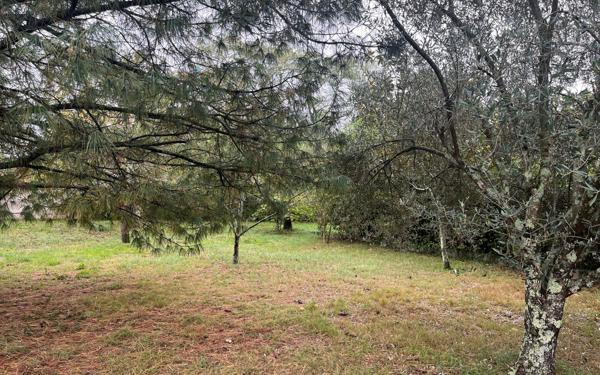 Terrain à vendre    Balma