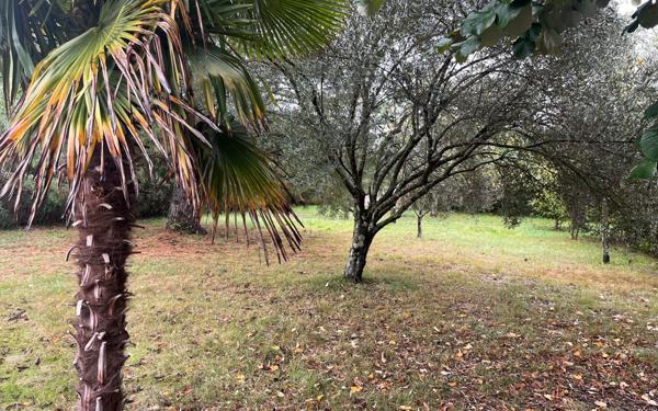 Terrain à vendre    Balma