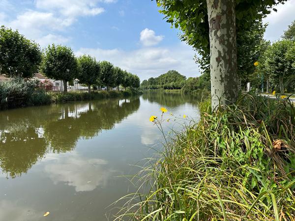 Terrain à batir / Centre ville Saujon