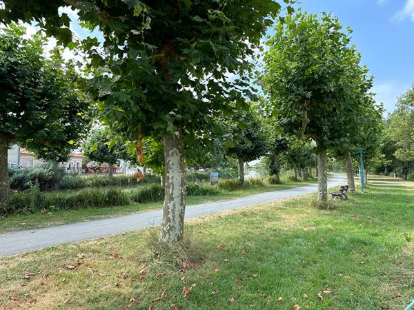 Terrain à batir / Centre ville Saujon