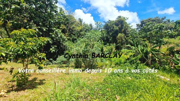 Terrain à LE LAMENTIN (97232)